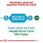 Royal Canin Starter Mother & Babydog Mini - talie