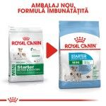 Royal Canin Starter Mother & Babydog Mini - nou