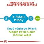 Royal Canin Puppy X-Small - talie