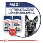Royal Canin Maxi Adult, 140 g - nou