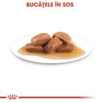 Royal Canin Maxi Ageing 8+, 140 g - sos