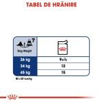 Royal Canin Maxi Ageing 8+, 140 g - hranire