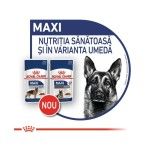 Royal Canin Maxi Ageing 8+, 10 x 140 g - beneficii
