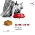 Royal Canin X-Small Adult hrana uscata caine, 1.5 kg
