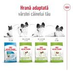 Royal Canin X-Small Adult hrana uscata caine, 1.5 kg
