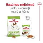 Royal Canin X-Small Adult hrana uscata caine, 1.5 kg