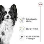 ROYAL CANIN X-Small Adult 8+ hrana uscata caine, 1.5 kg (Hrana Uscata - Caini)