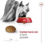 ROYAL CANIN X-Small Adult 8+ hrana uscata caine, 1.5 kg (Hrana Uscata - Caini)