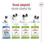 ROYAL CANIN X-Small Adult 8+ hrana uscata caine, 1.5 kg (Hrana Uscata - Caini)