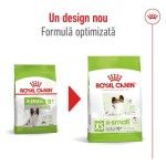 ROYAL CANIN X-Small Adult 8+ hrana uscata caine, 1.5 kg (Hrana Uscata - Caini)