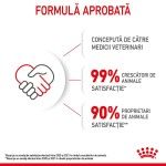 Royal Canin Mother & BabyCat hrana uscata pisica, mama si puiul, 400 g 