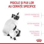 Royal Canin Mother & BabyCat hrana uscata pisica, mama si puiul, 400 g 