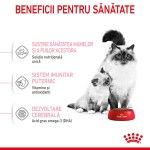 Royal Canin Mother & BabyCat hrana uscata pisica, mama si puiul, 400 g 