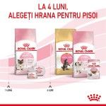 Royal Canin Mother & BabyCat hrana uscata pisica, mama si puiul, 400 g 