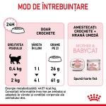 Royal Canin Mother & BabyCat hrana uscata pisica, mama si puiul, 400 g 