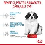 Royal Canin Giant Puppy hrana uscata caine junior etapa 1 de crestere, 15 kg