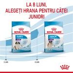 Royal Canin Giant Puppy hrana uscata caine junior etapa 1 de crestere, 15 kg
