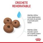 Royal Canin Giant Starter Mother & Babydog, mama si puiul, hrana uscata caine, 15 kg