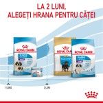 Royal Canin Giant Starter Mother & Babydog, mama si puiul, hrana uscata caine, 15 kg