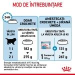 Royal Canin Giant Starter Mother & Babydog, mama si puiul, hrana uscata caine, 15 kg