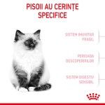 Royal Canin Kitten hrana uscata pisica junior, 2 kg 