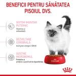 Royal Canin Kitten hrana uscata pisica junior, 2 kg 