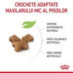 Royal Canin Kitten hrana uscata pisica junior, 2 kg 