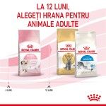 Royal Canin Kitten hrana uscata pisica junior, 2 kg 