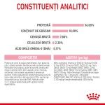 Royal Canin Kitten hrana uscata pisica junior, 2 kg 