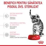 Royal Canin Kitten Sterilised hrana uscata pisica sterilizata junior, 2 kg 