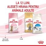 Royal Canin Kitten Sterilised hrana uscata pisica sterilizata junior, 2 kg 