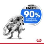 Royal Canin Maxi Light Weight Care Adult hrana uscata caine, limitarea greutatii, 12 kg