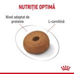 Royal Canin Maxi Light Weight Care Adult hrana uscata caine, limitarea greutatii, 12 kg