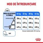 Royal Canin Maxi Light Weight Care Adult hrana uscata caine, limitarea greutatii, 12 kg