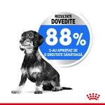 Royal Canin Light Weight Care Mini - rezultate