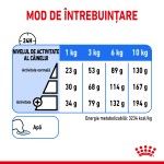 Royal Canin Mini Light Weight Care Adult hrana uscata caine, limitarea greutatii, 3 kg 