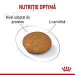 Royal Canin XSmall Light Weight Care Adult hrana uscata caine, limitarea cresterii in greutate, 1.5 kg