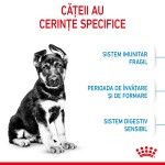 Royal Canin Maxi Puppy hrana uscata caine junior, 15 kg