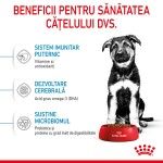 Royal Canin Maxi Puppy hrana uscata caine junior, 15 kg