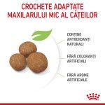 Royal Canin Maxi Puppy hrana uscata caine junior, 15 kg
