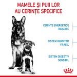 Royal Canin Maxi Starter Mother & Babydog, mama si puiul, hrana uscata caine, 4 kg