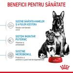 Royal Canin Maxi Starter Mother & Babydog, mama si puiul, hrana uscata caine, 4 kg