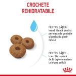 Royal Canin Maxi Starter Mother & Babydog, mama si puiul, hrana uscata caine, 4 kg