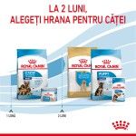 Royal Canin Maxi Starter Mother & Babydog, mama si puiul, hrana uscata caine, 4 kg