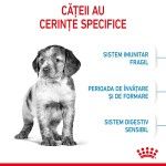 Royal Canin Medium Puppy hrana uscata caine junior, 3 kg