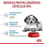 Royal Canin Medium Puppy hrana uscata caine junior, 1 kg 