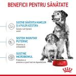 Royal Canin Medium Starter Mother & Babydog, mama si puiul, hrana uscata caine, 4 kg