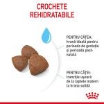 Royal Canin Medium Starter Mother & Babydog, mama si puiul, hrana uscata caine, 4 kg
