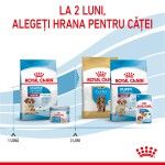 Royal Canin Medium Starter Mother & Babydog, mama si puiul, hrana uscata caine, 4 kg