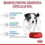 Royal Canin Mini Puppy hrana uscata caine junior, 800 g
